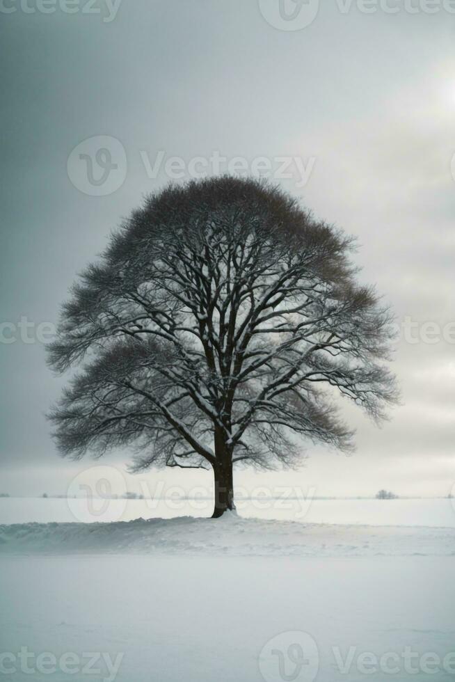 alberi sfondo scarica ,ai generato foto