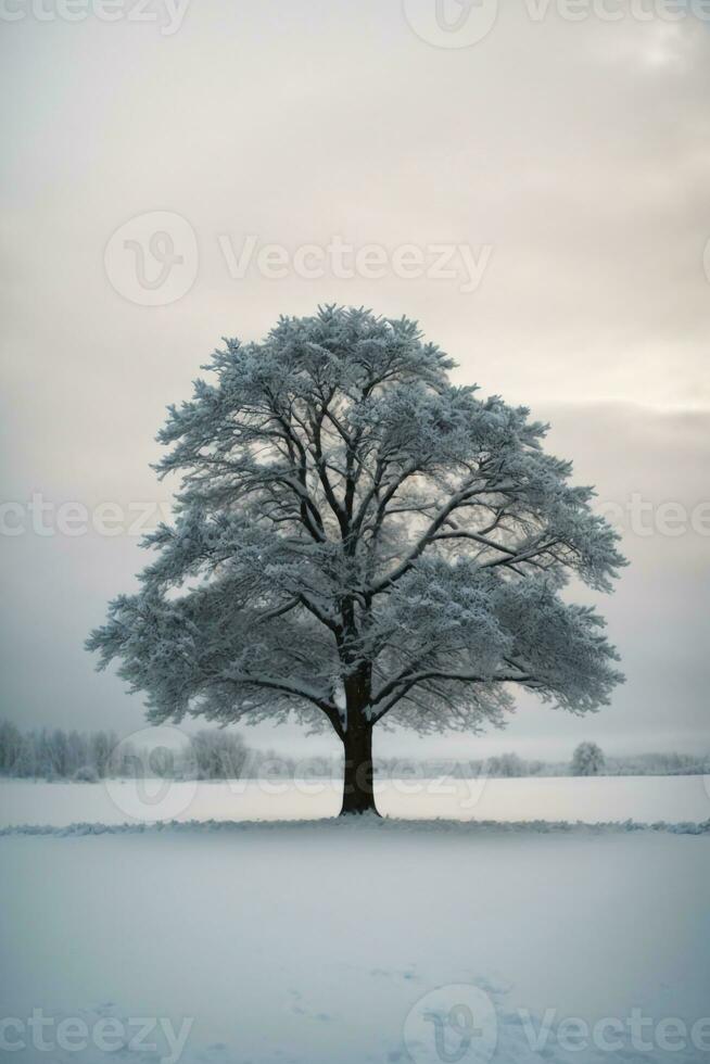 alberi sfondo scarica ,ai generato foto