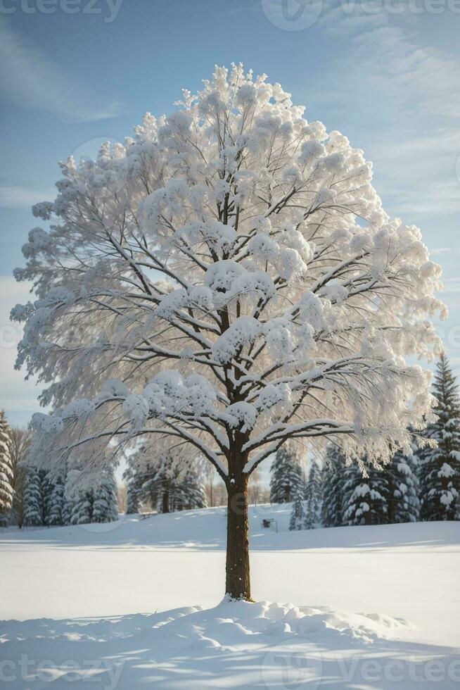 alberi sfondo Scarica hd, ai generato foto