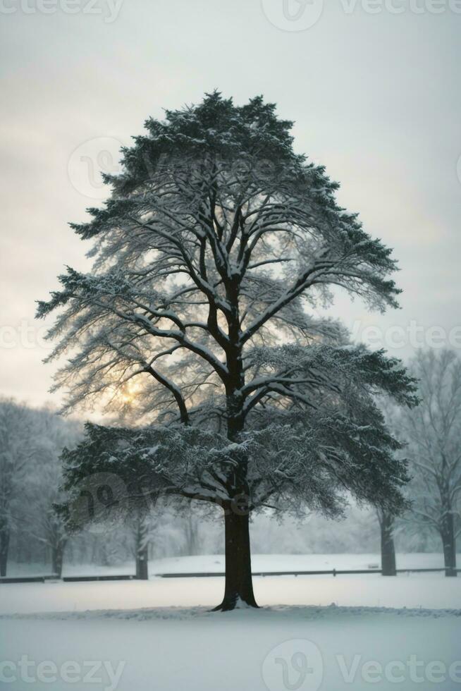 alberi sfondo scarica ,ai generato foto