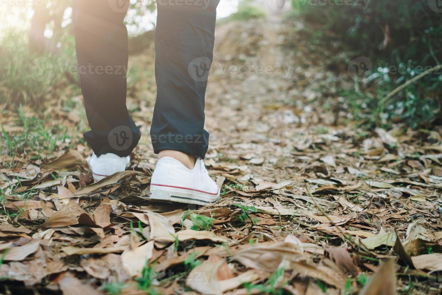 l'uomo sta camminando nel bosco o nella natura della giungla. foto