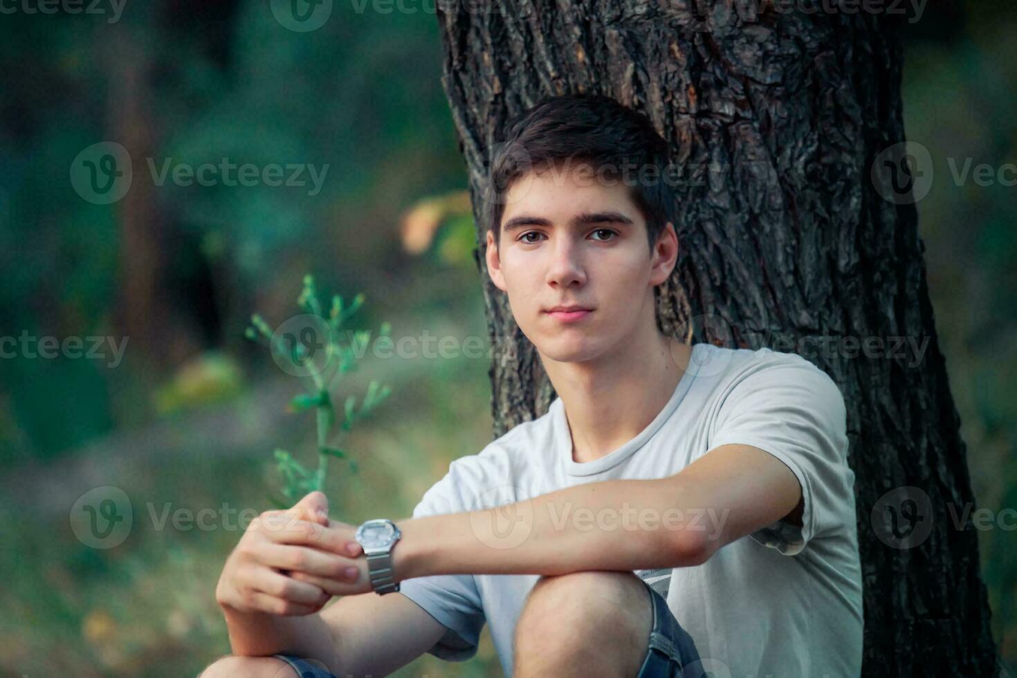 un' giovane uomo con nero capelli sorridente. ritratto di un' gay nel natura. soleggiato tramonto dietro a il uomo. foto