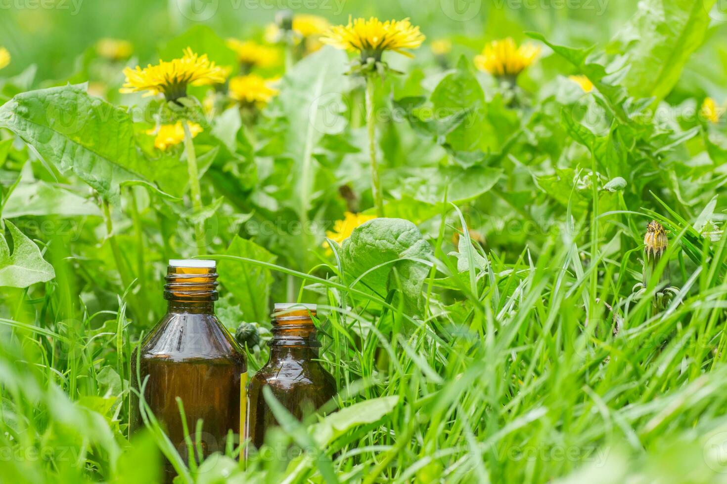 farmaceutico bottiglia di medicina nel erba contro sfondo di fioritura giallo fiore tarassaco officinale, o denti di leone . preparazione di medicinale impianti. pronto pozione di erba. foto