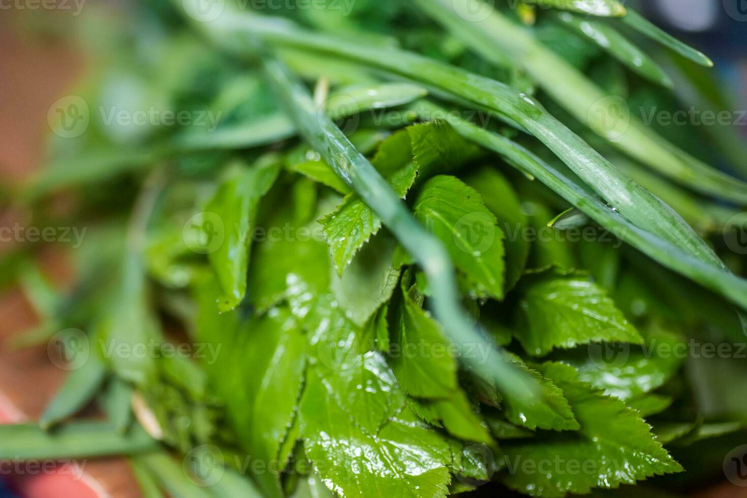 vegetariano vitamina insalata a partire dal primo primavera verdura e selvaggio erbe aromatiche. ingredienti per casa dieta pasto erba di gotta, ortica foglia, soldi. medicinale erba urtica dioica pianta cucinando cibo. vegetariano vitamina insalata a partire dal primo primavera verdura e selvaggio erbe aromatiche. ingrediente foto