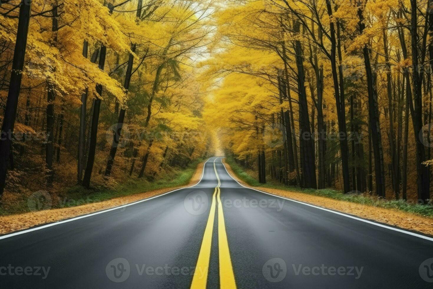 asfalto calcestruzzo strada con caduto le foglie nel autunno foresta. ai generato foto