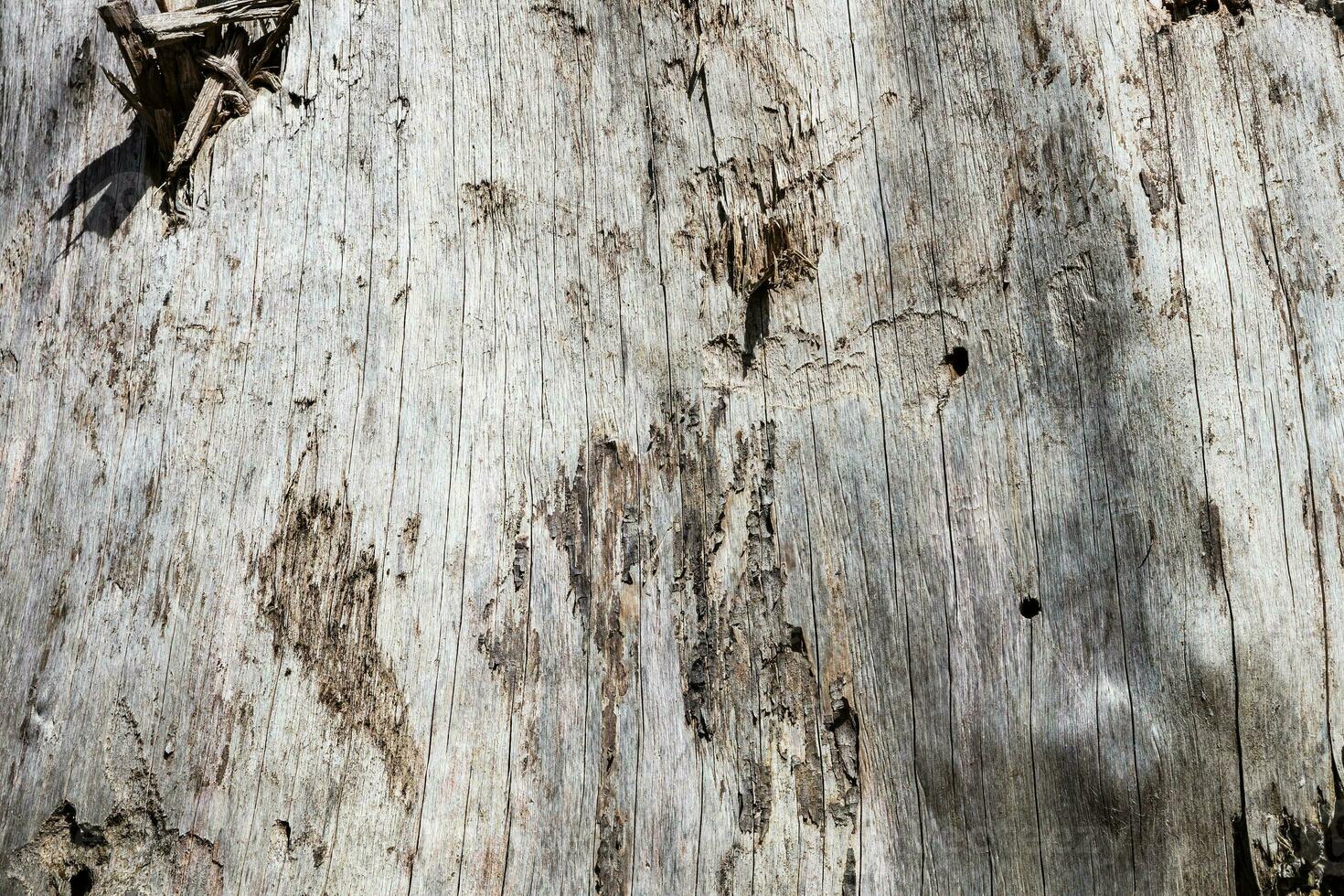 struttura astratta di legno. sfondo grunge di superficie. motivo effetto legno sporco. sfondo materiale. foto