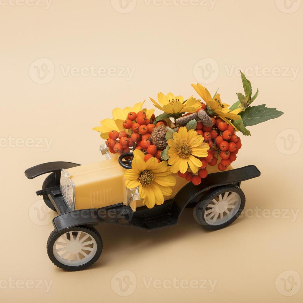 composizione decorativa autunnale di una macchinina con sorbo, fiori foto