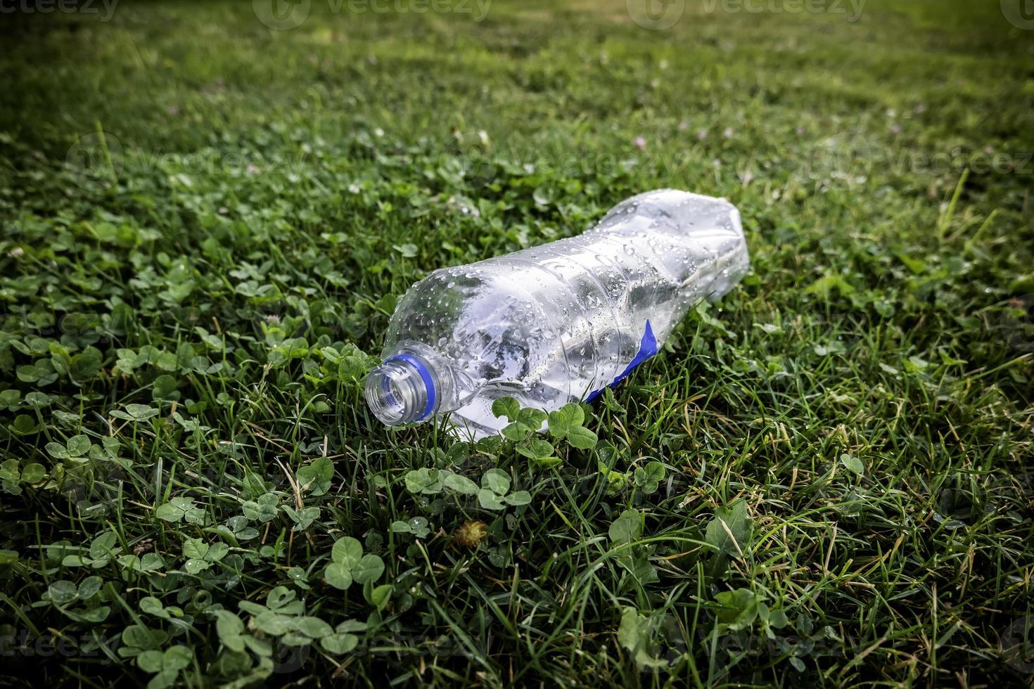 bottiglia d'acqua sull'erba foto