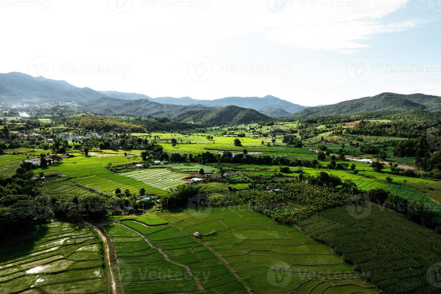 paesaggio risaia in asia, vista aerea delle risaie foto