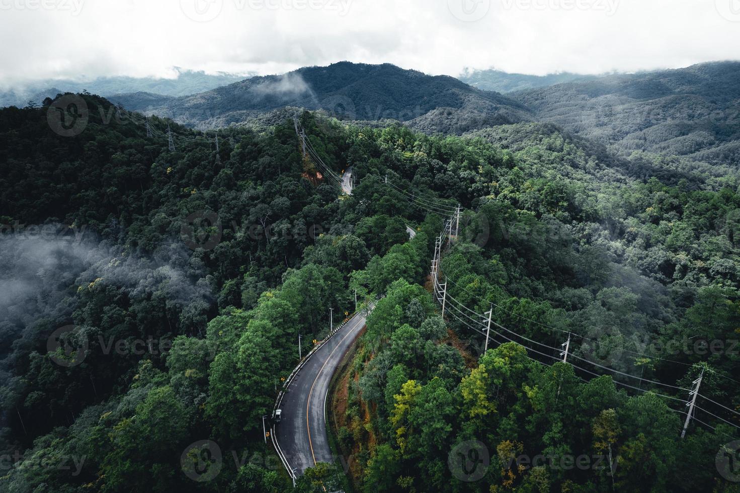 strada nella foresta stagione delle piogge natura alberi e viaggio nella nebbia foto