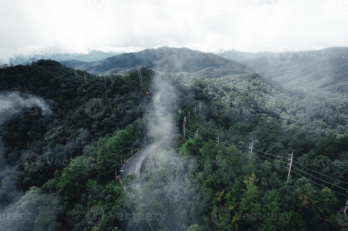 strada nella foresta stagione delle piogge natura alberi e viaggio nella nebbia foto