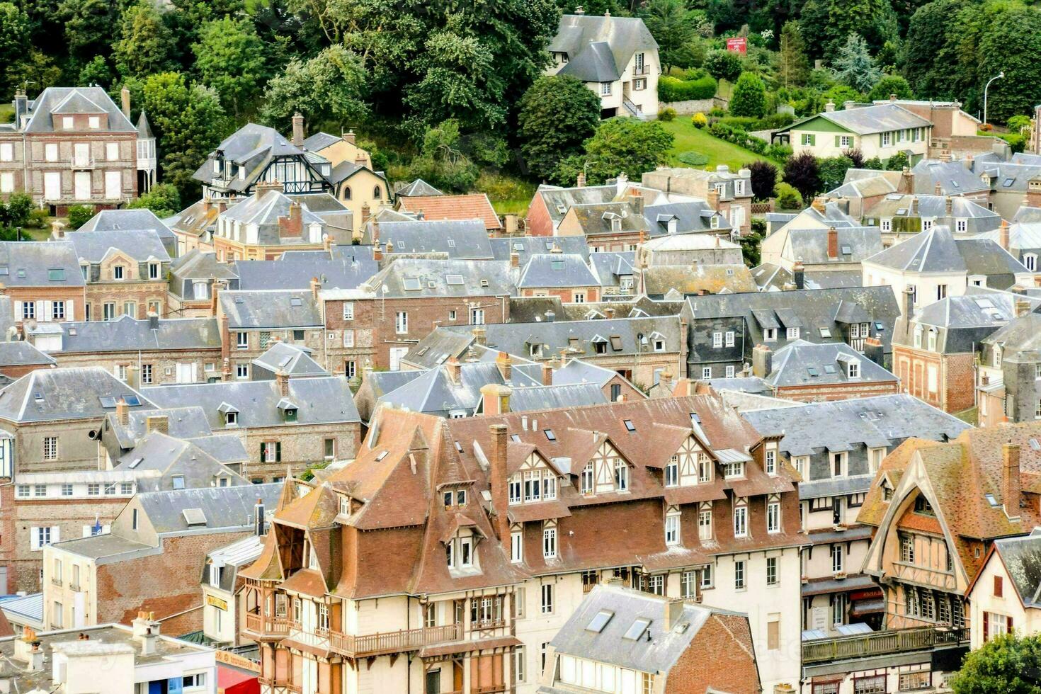 un' Visualizza di il tetti di un' cittadina nel Francia foto