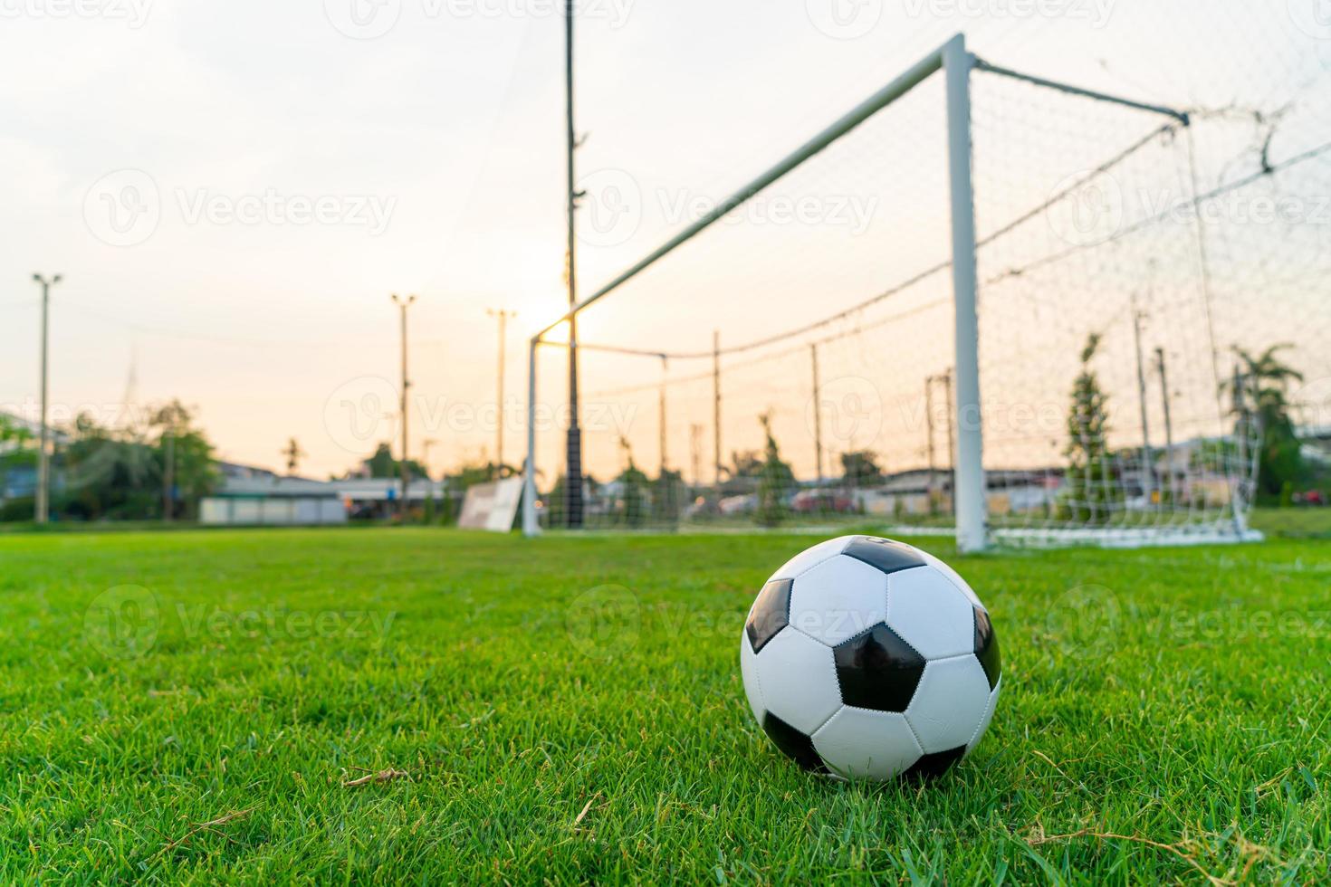 pallone da calcio sul campo da calcio foto