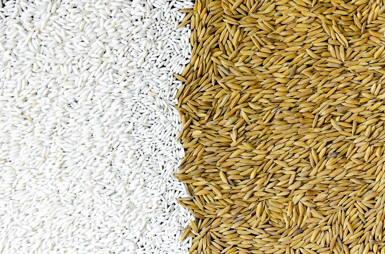 vista dall'alto risone e semi di riso, marrone di chicchi di riso e mucchio di riso. foto
