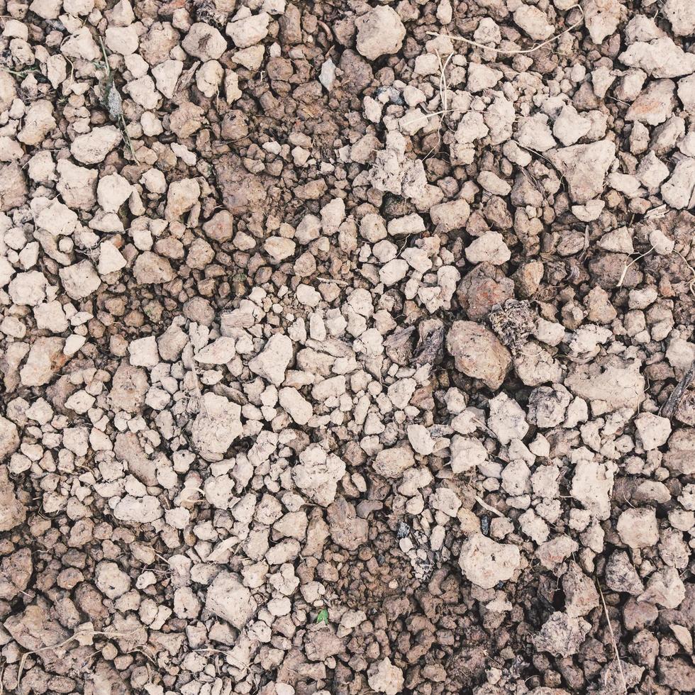 terreno ghiaioso e terreno asciutto, il terreno che prepara per la coltivazione. foto