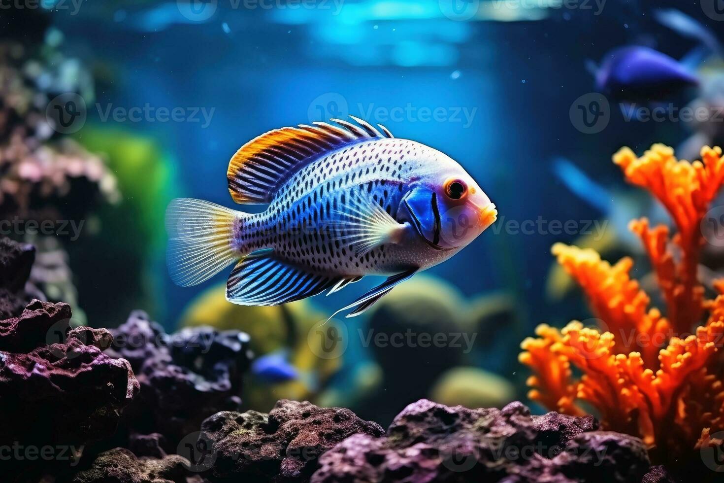 un' bellissimo pesce e acquario sfondo.ai generativo foto