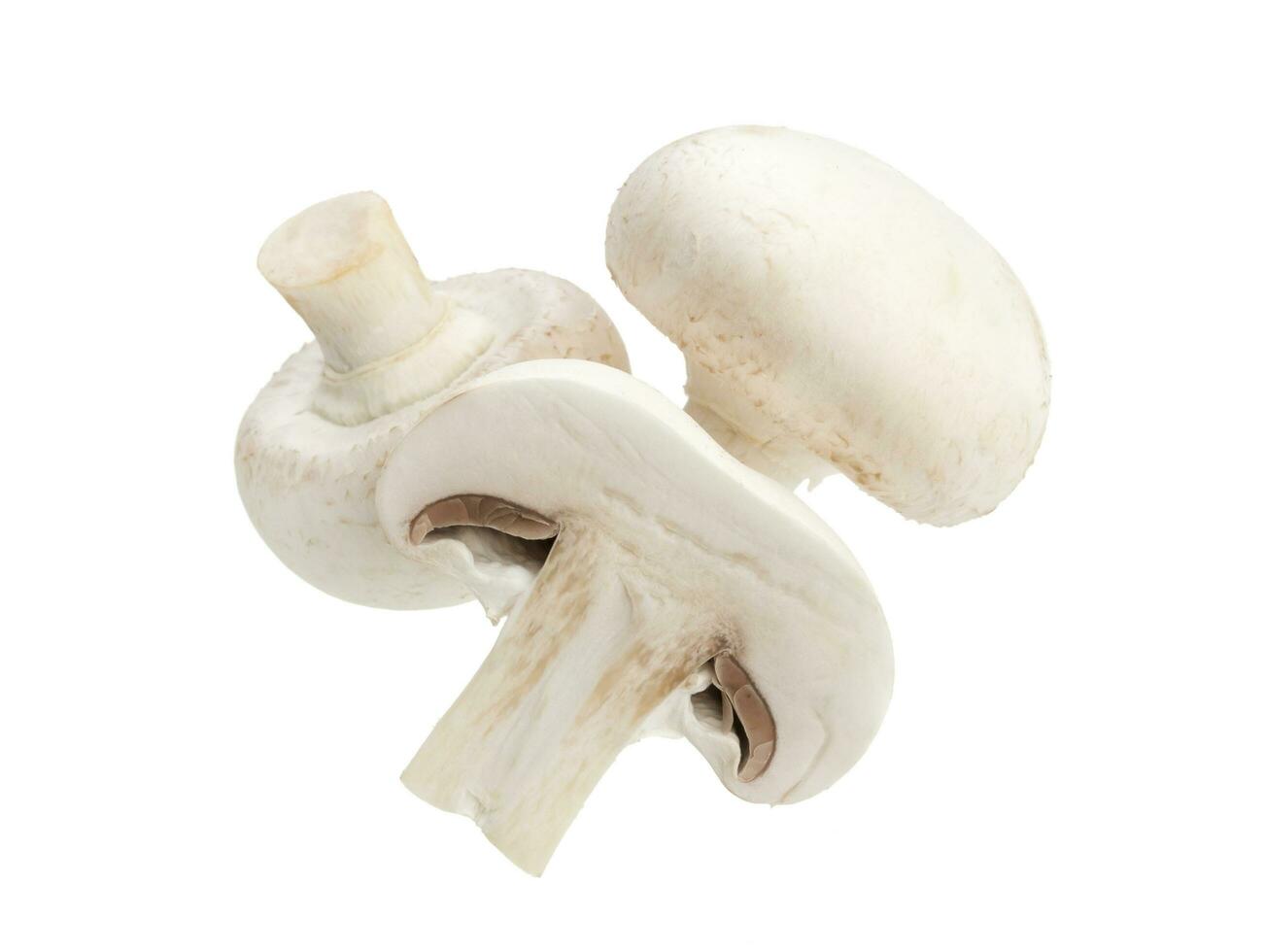 funghi champignon isolati su sfondo bianco foto