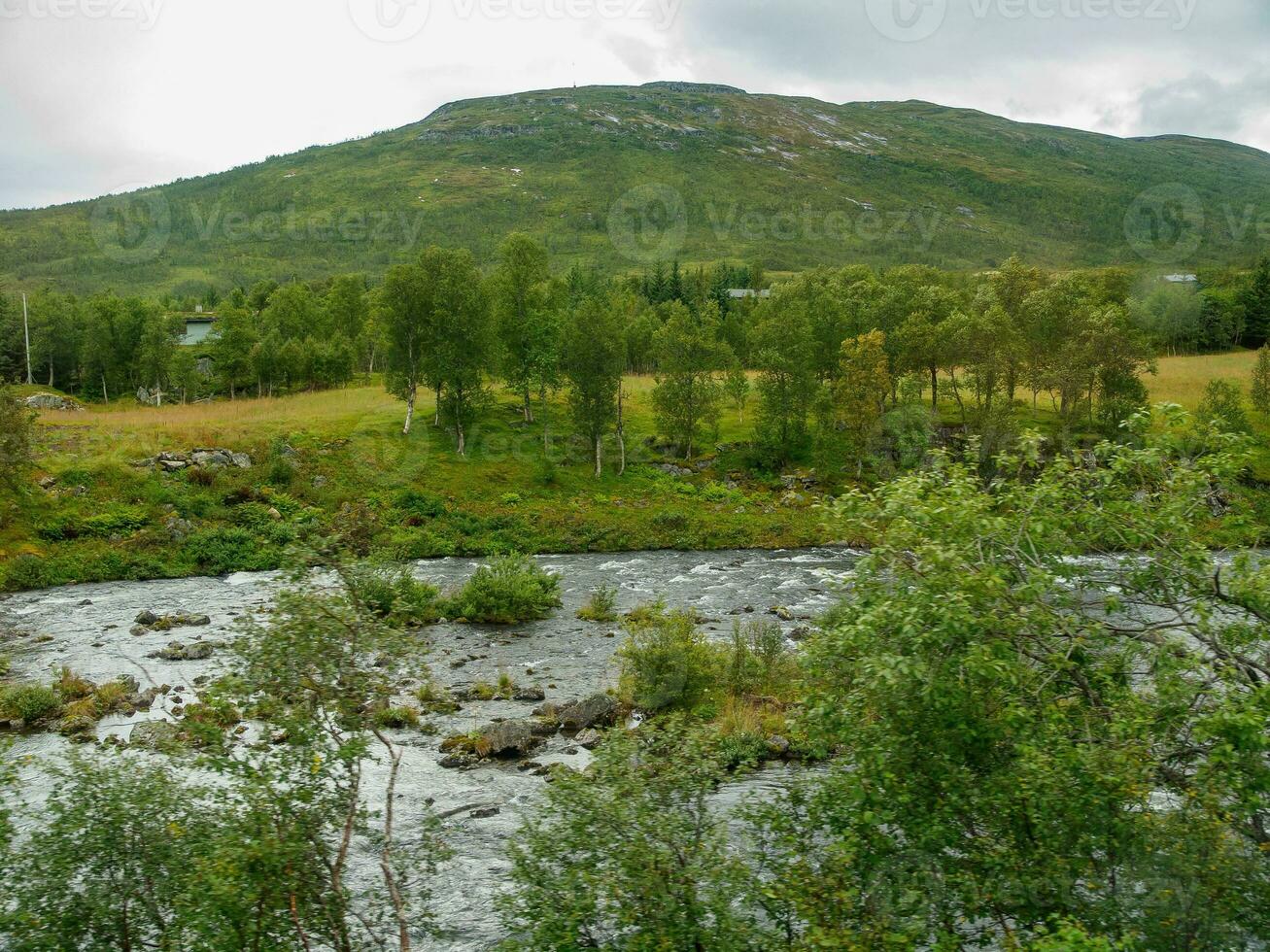 estate tempo nel Norvegia foto