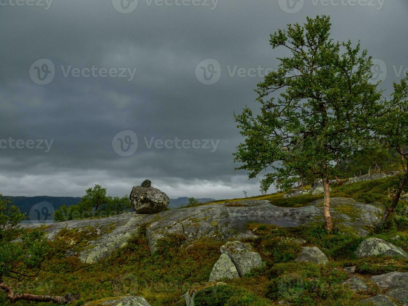 estate tempo nel Norvegia foto