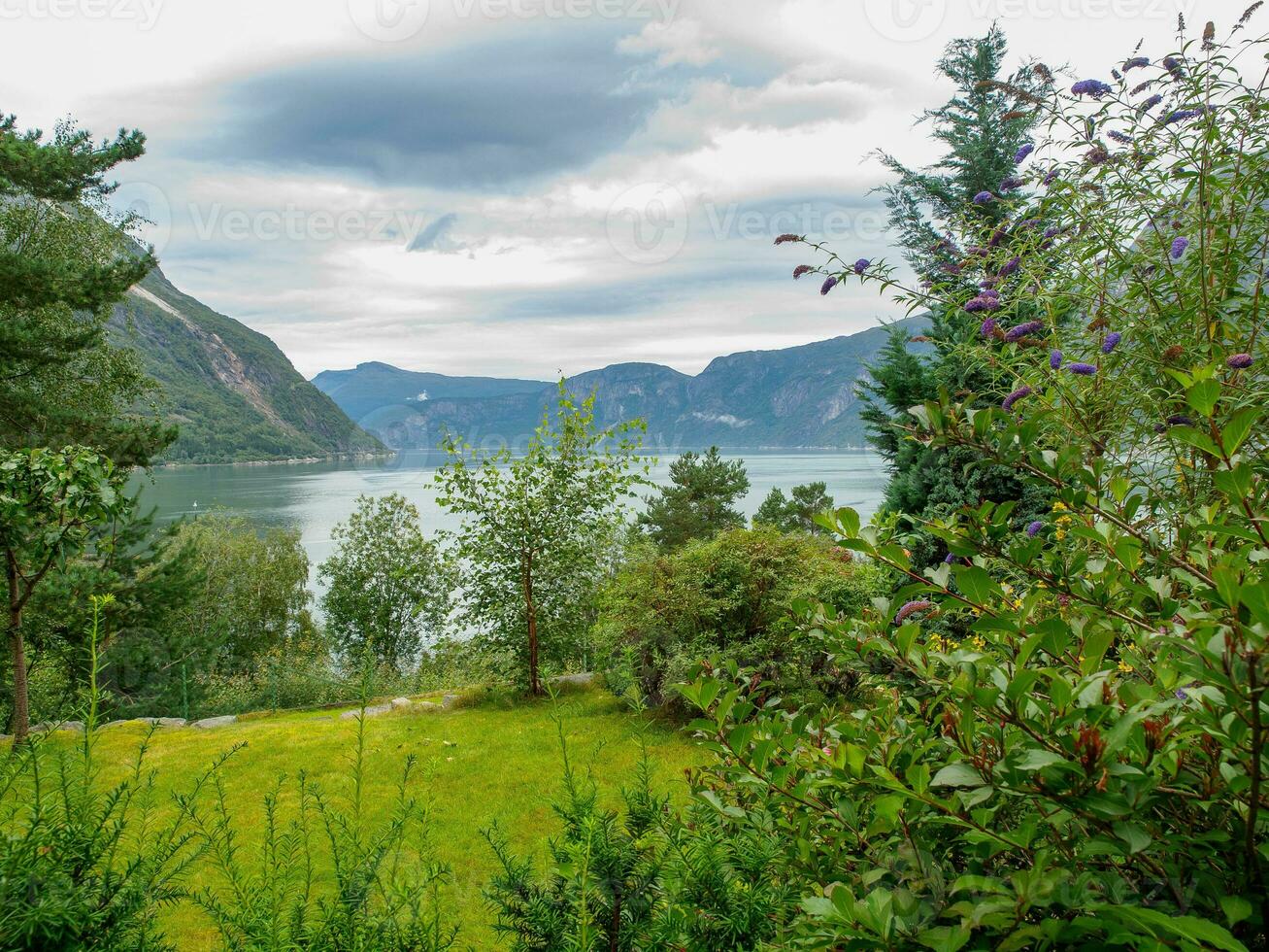 nave crociera nel Norvegia foto