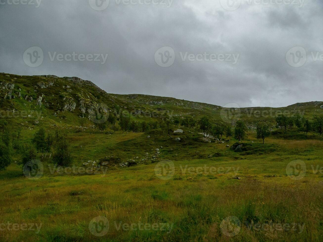 nave crociera nel Norvegia foto