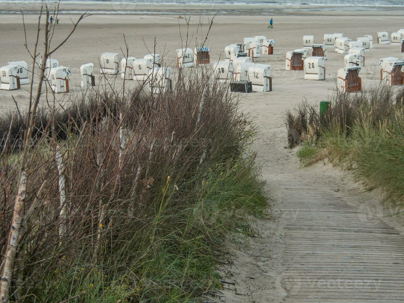 l'isola di Spikeroog foto