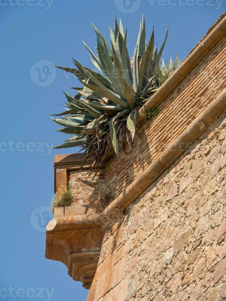 barcellona in spagna foto