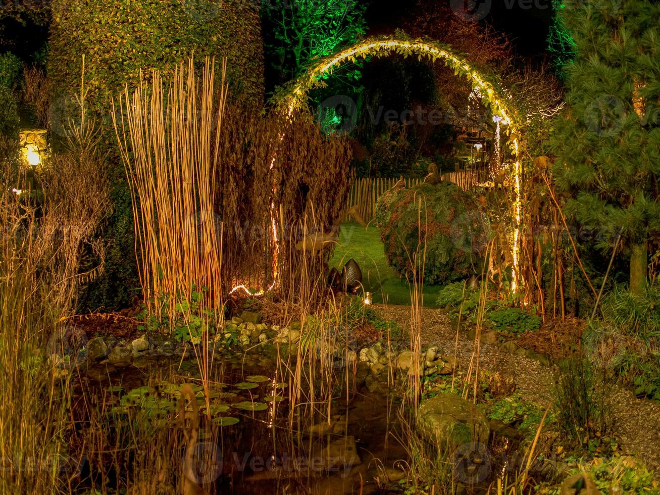 Natale tempo nel il giardino foto