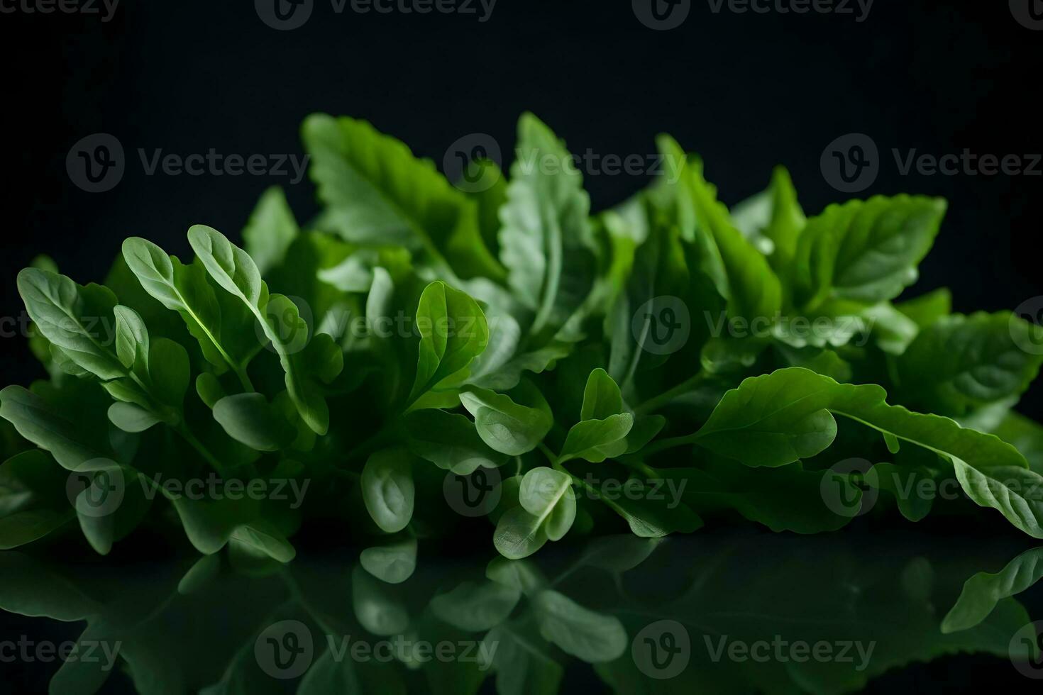 Questo è un' foto di rucola, un' frondoso verde verdura esso era prese vicino nel un' studio con un' buio sfondo ai generato