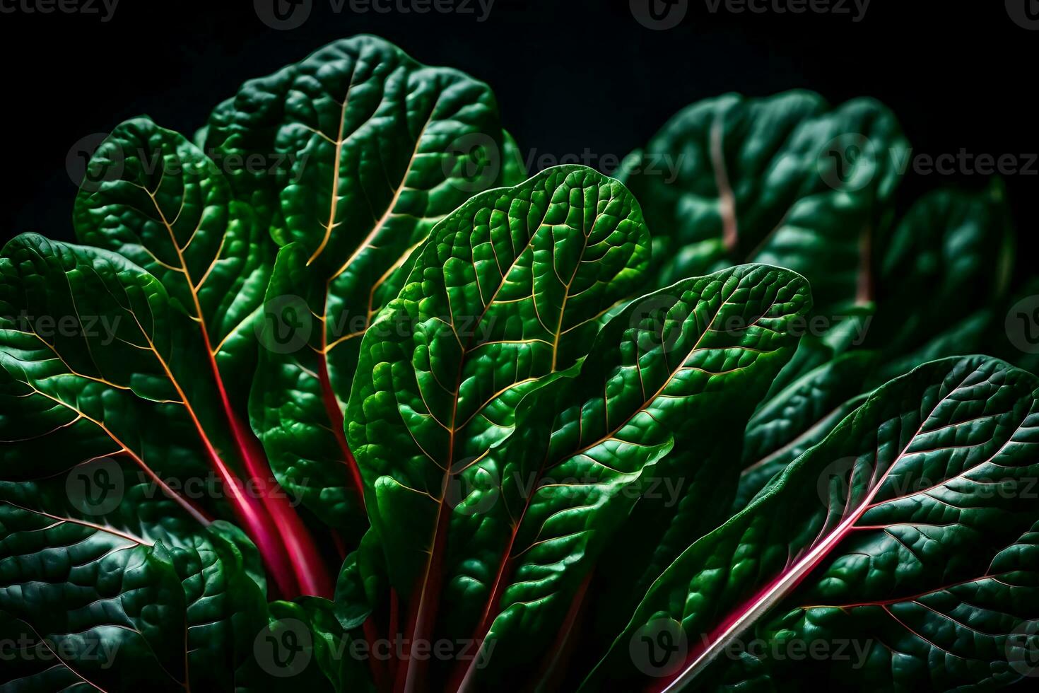 prendere un' più vicino Guarda a svizzero bietola, un' verdura quello è essere visualizzato nel un' studio con un' pianura nero sfondo ai generato foto