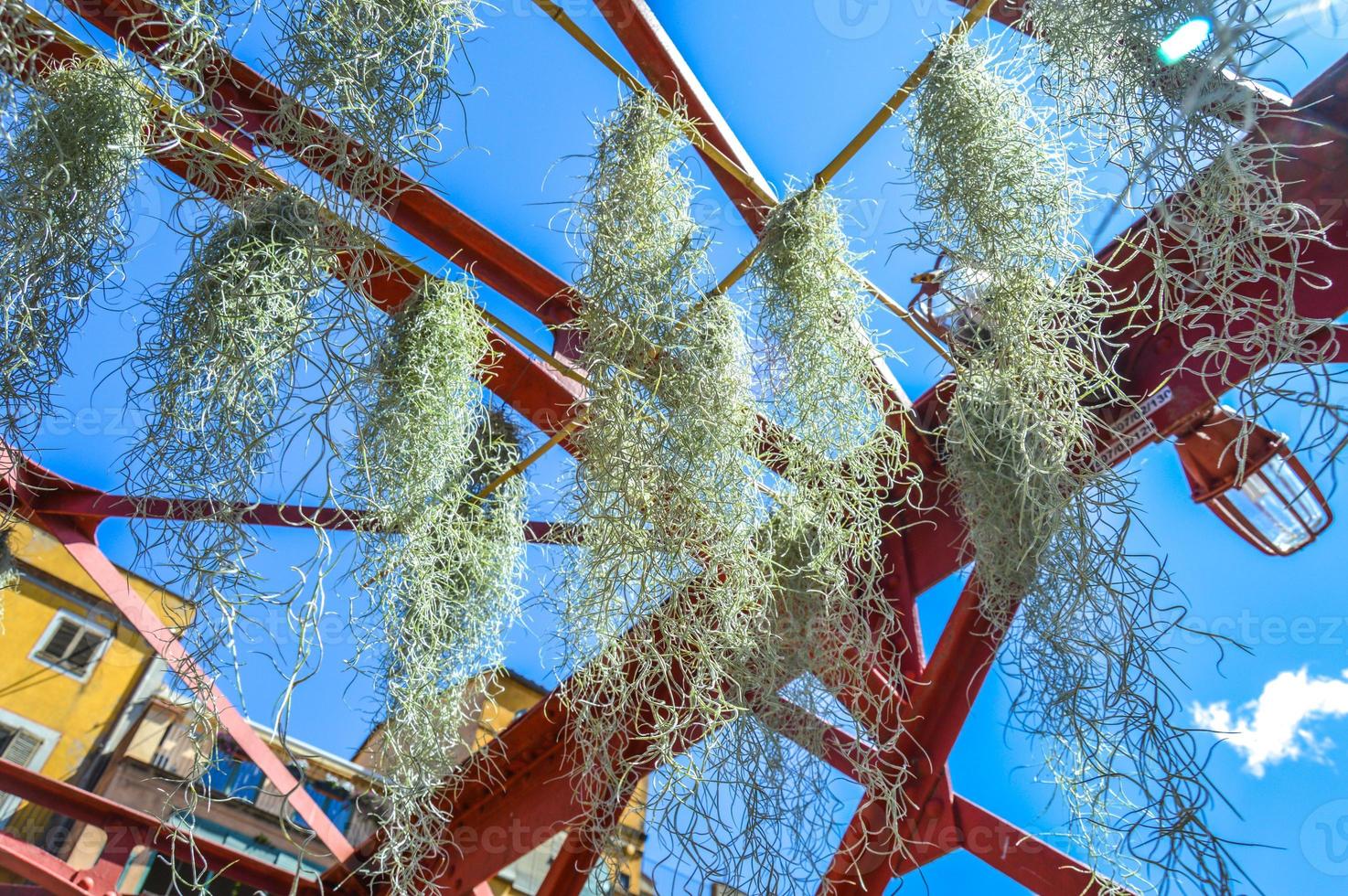 festa dei fiori a girona temps de flors, spagna. 2018 foto