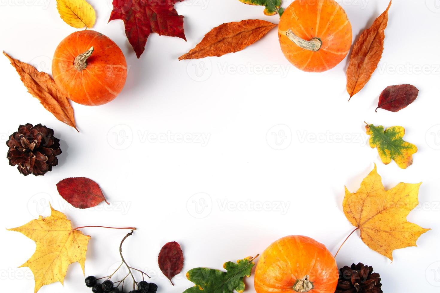 sfondo autunnale da foglie, bacche e zucche. foto