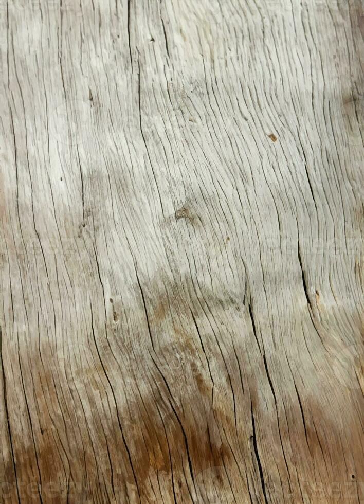 Marrone di legno strutturato sfondo foto