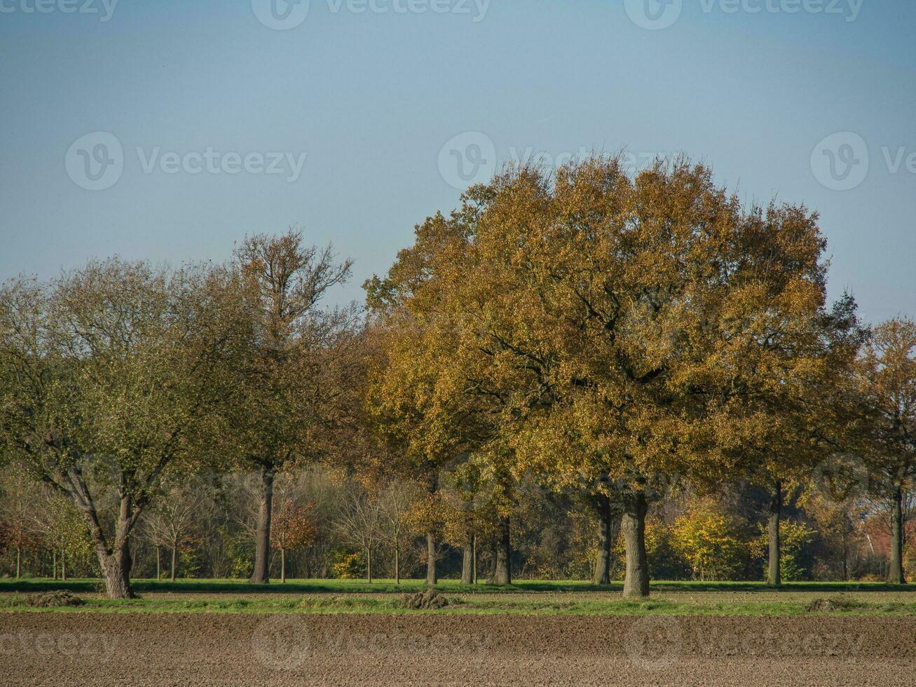 autunno tempo nel il Tedesco Münsterland foto