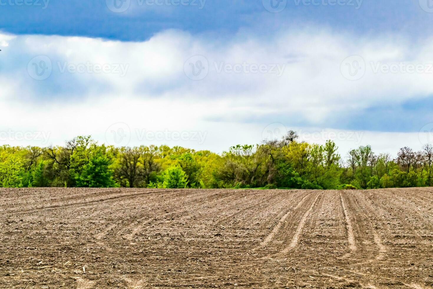 fotografia su tema grande vuoto azienda agricola campo per biologico raccogliere foto