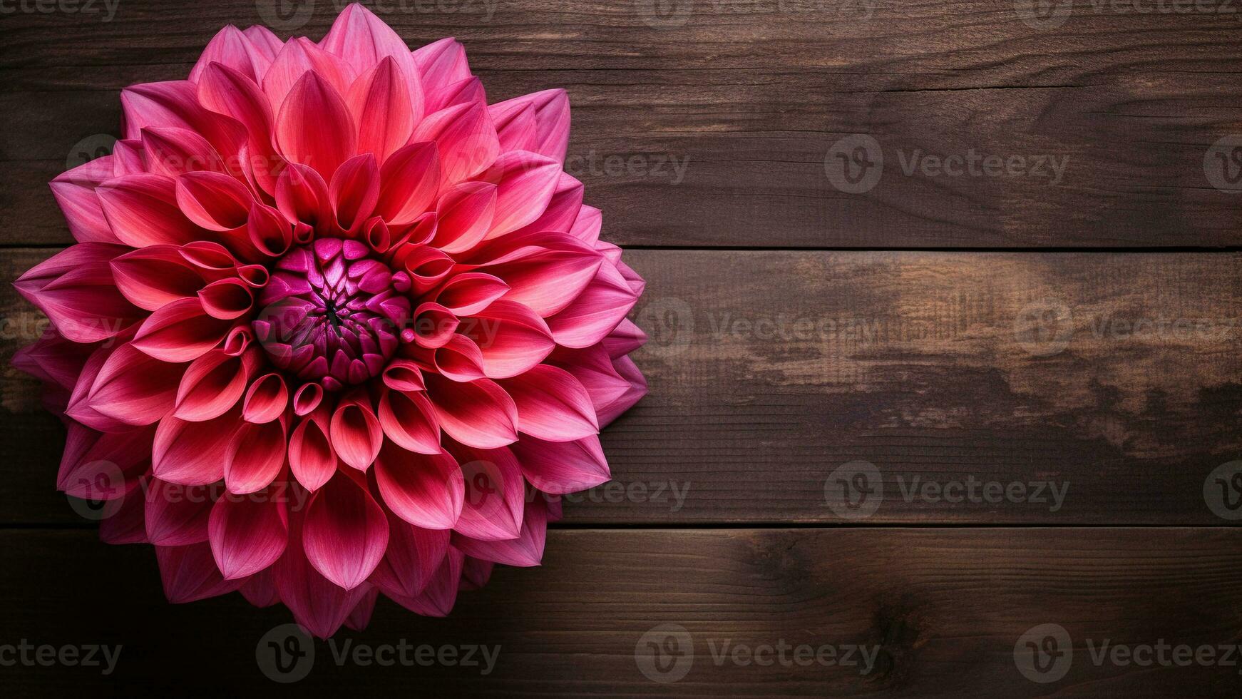 bellissimo dalia fiore su legna sfondo con copia spazio, ai generativo foto