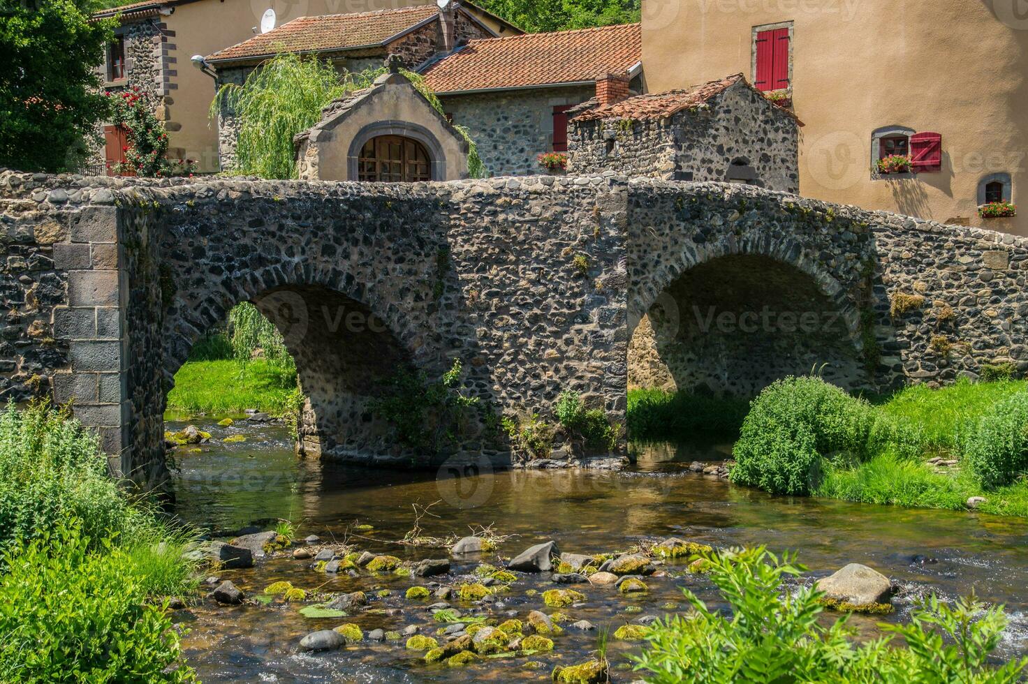 parco naturel regionale des vulcani d'Alvernia foto