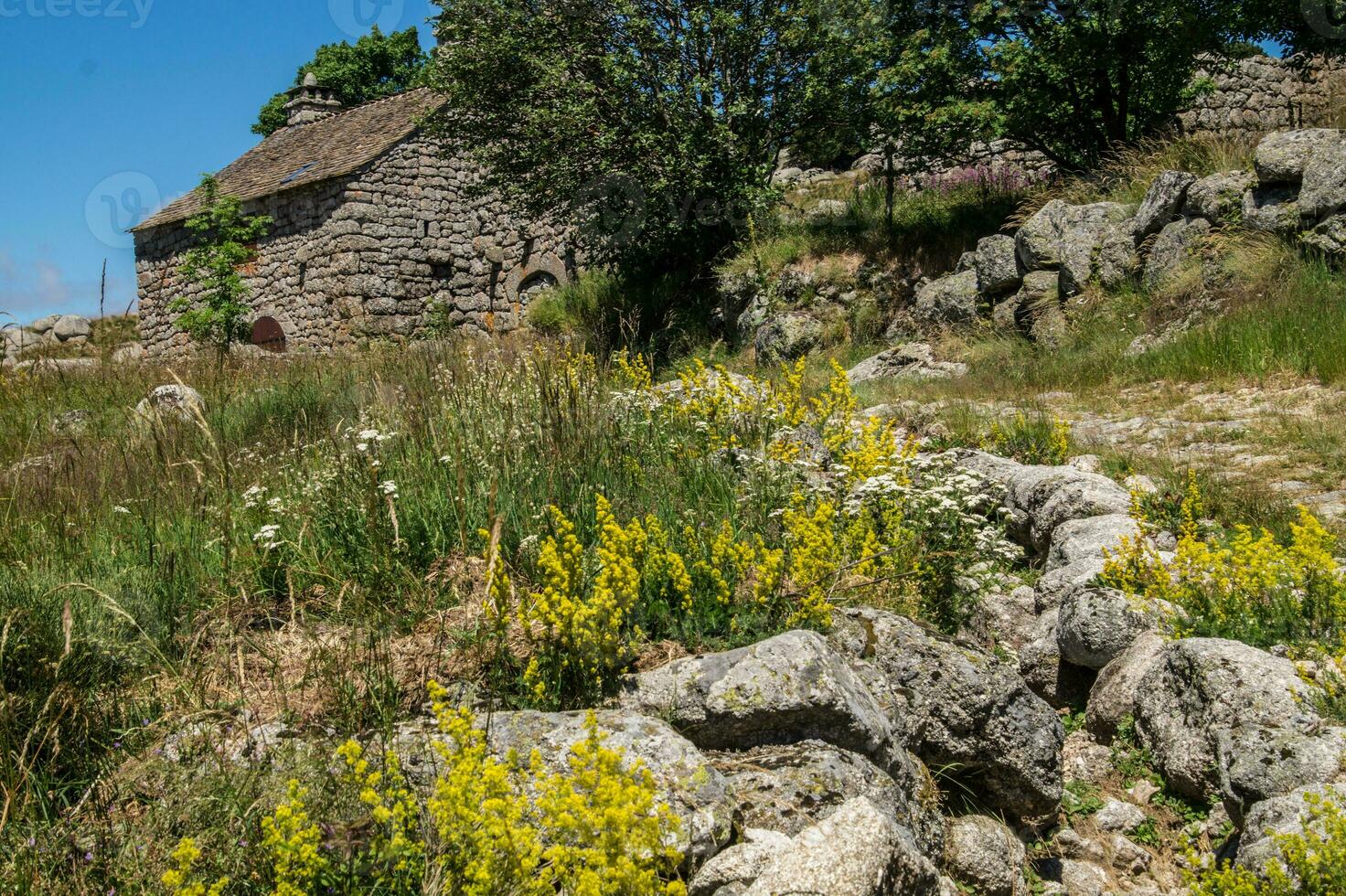 parco nazionale delle cévennes foto