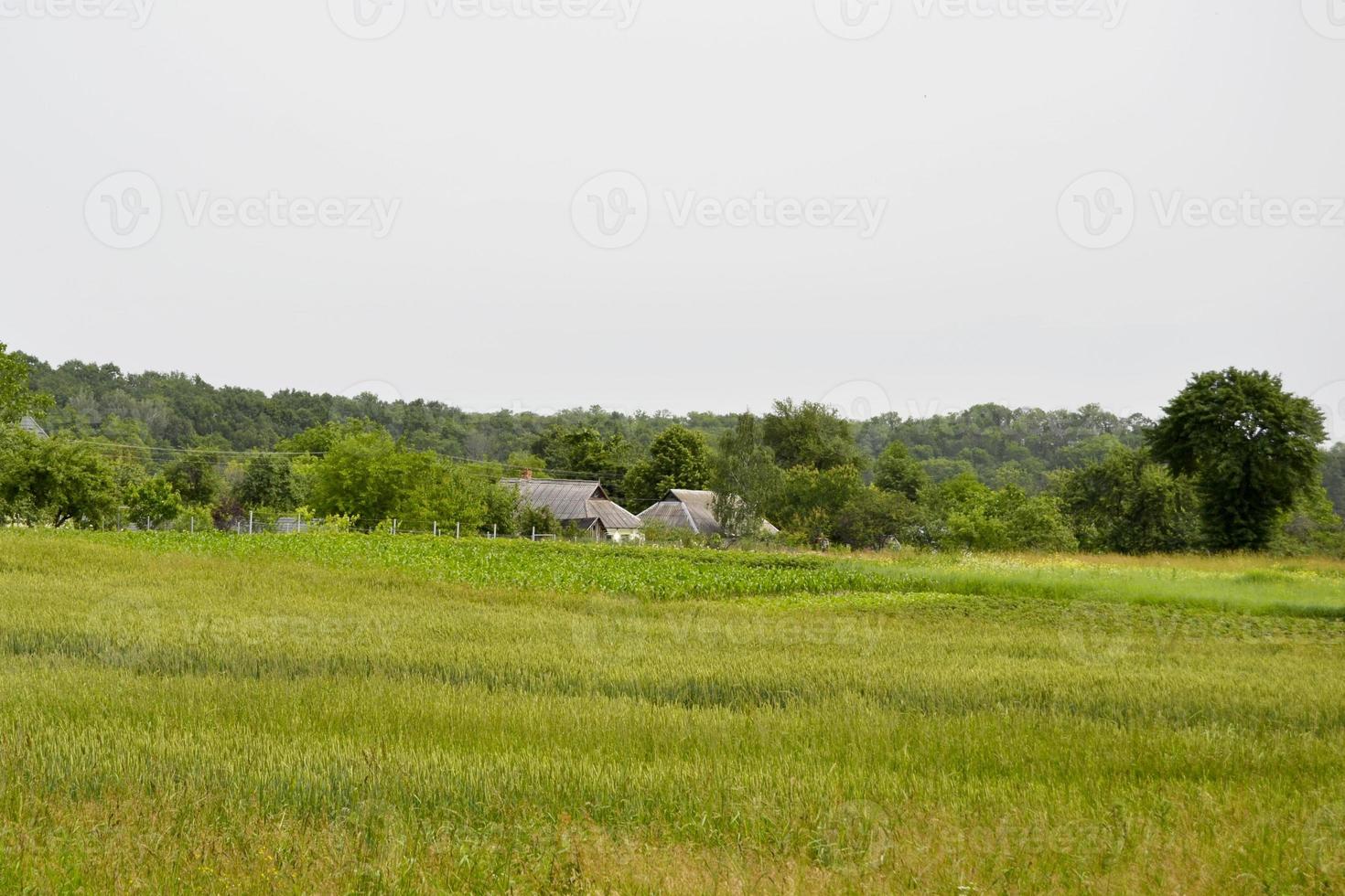 bellissimo paesaggio all'orizzonte nel prato del villaggio foto