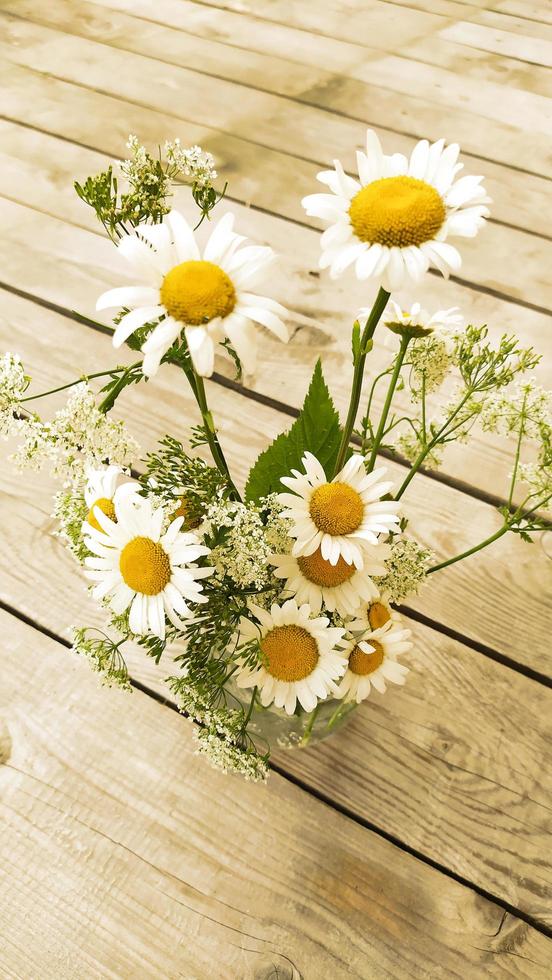 i fiori di camomilla stanno in un vaso foto