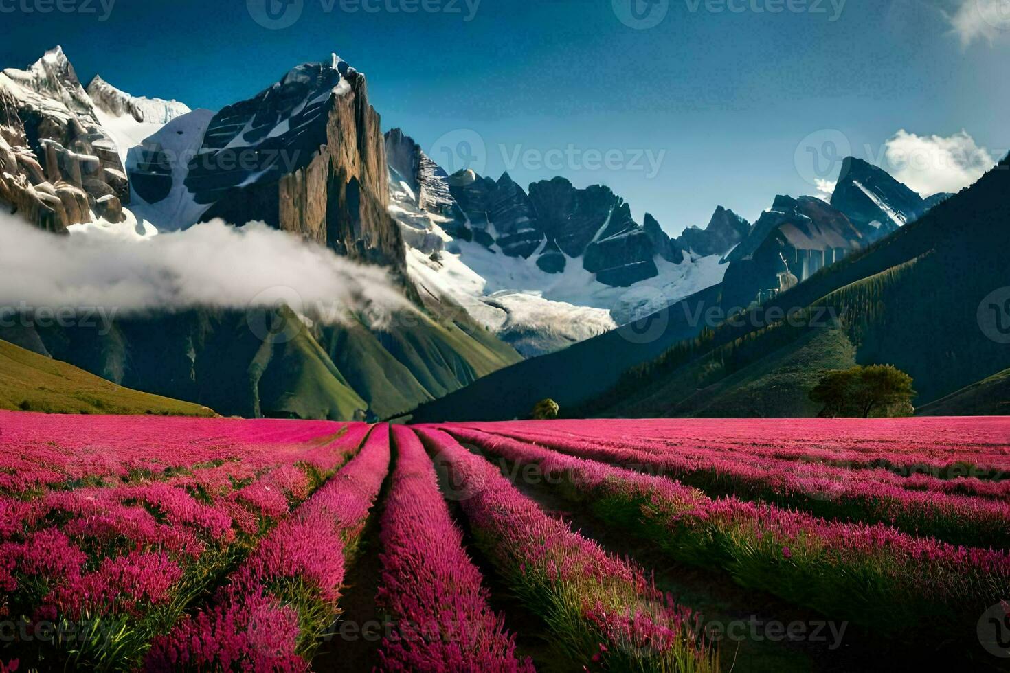 il lavanda campo nel il montagne. ai-generato foto