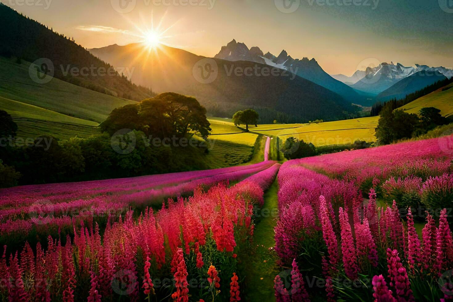 il sole sorge al di sopra di un' campo di rosa fiori nel il montagne. ai-generato foto