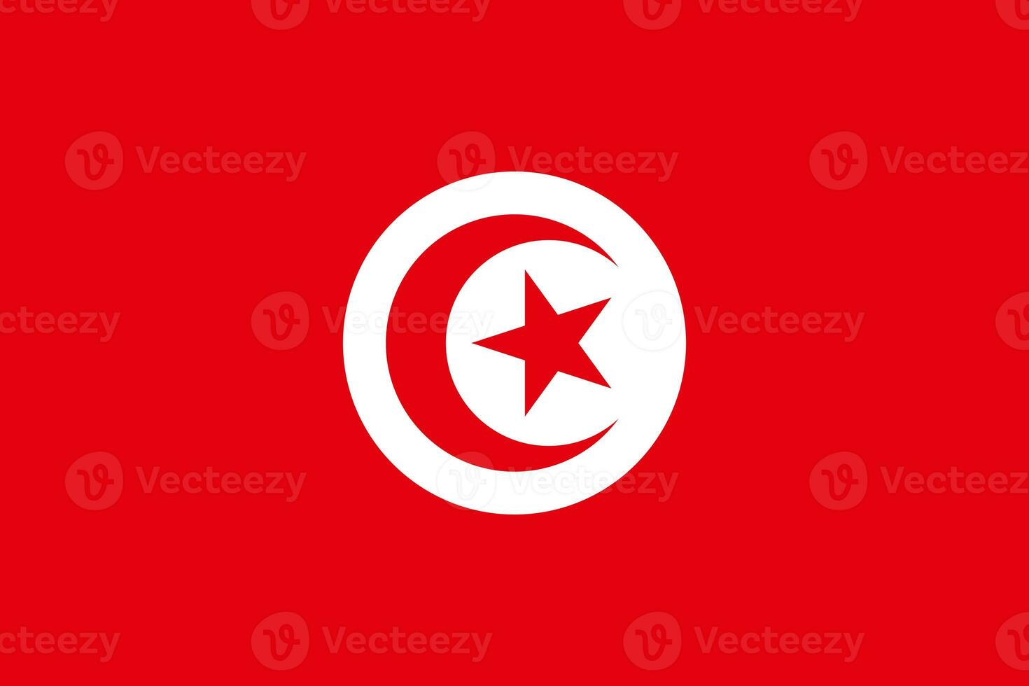 il ufficiale attuale bandiera di tunisino repubblica. stato bandiera di tunisia. illustrazione. foto