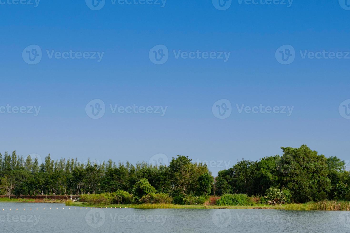 alberi e lago sotto il cielo azzurro in estate foto