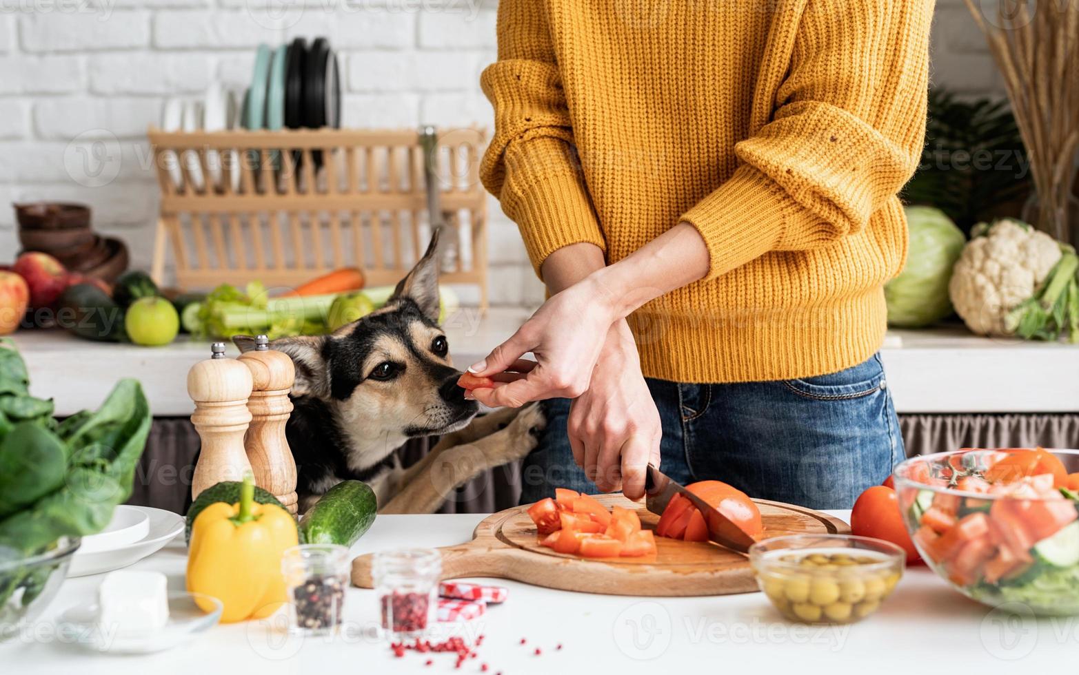 mani femminili che preparano insalata e danno un pezzo di verdura a un cane foto
