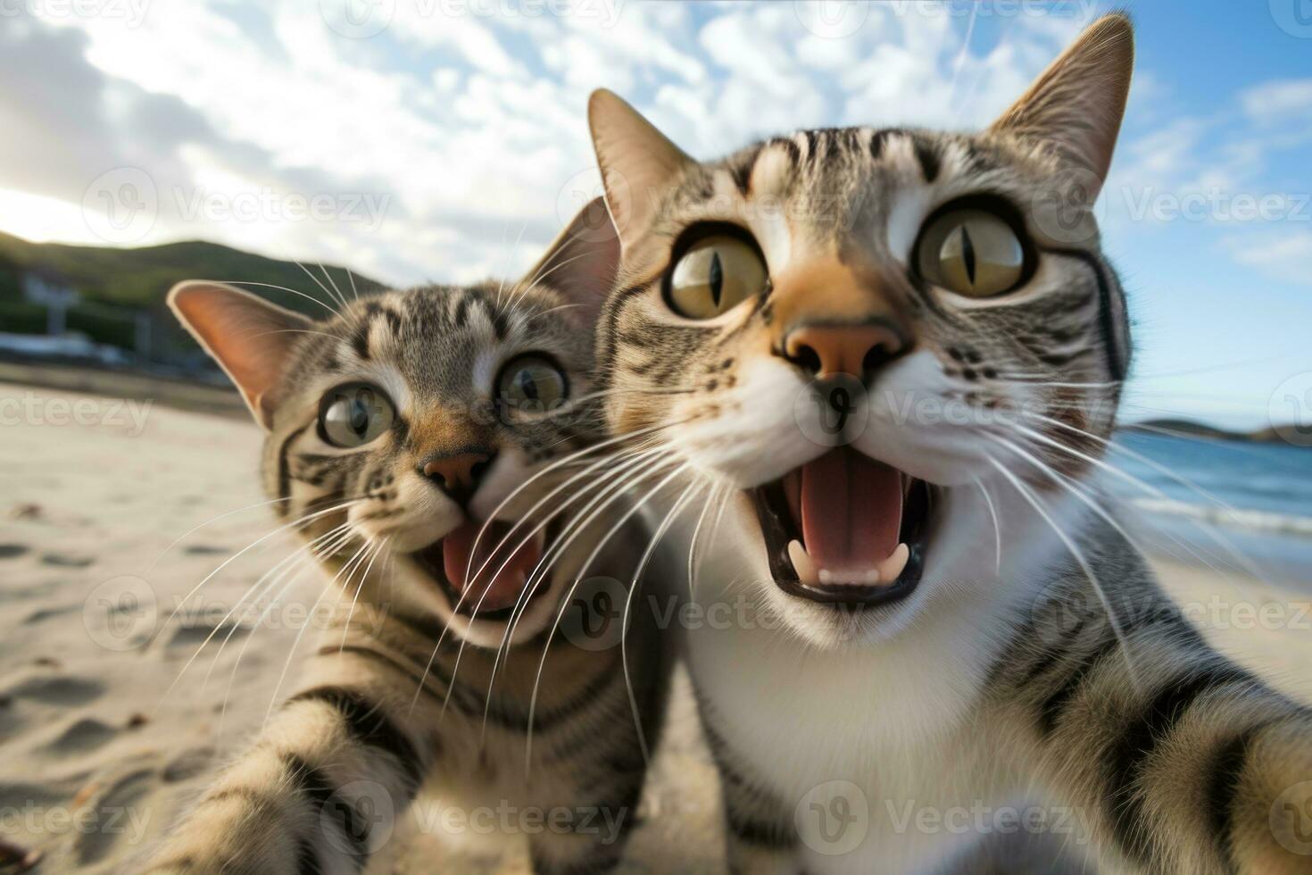 Due divertente gatti prendere un' autoscatto su il spiaggia. umorismo. creato utilizzando artificiale intelligenza. foto