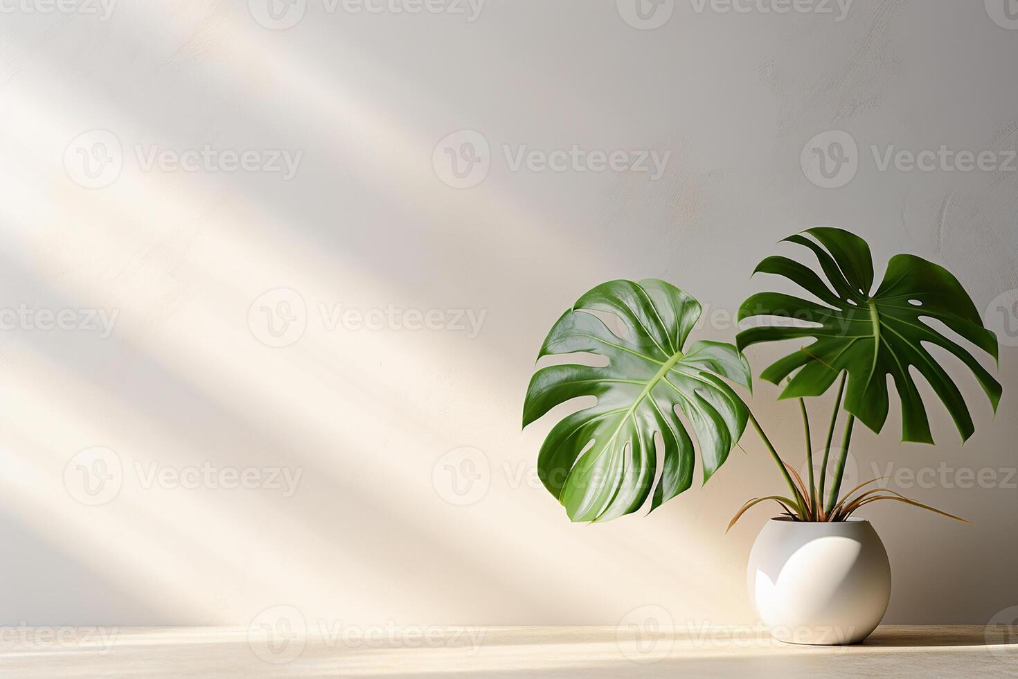 Monstera pianta su bianca parete sfondo ai generativo foto