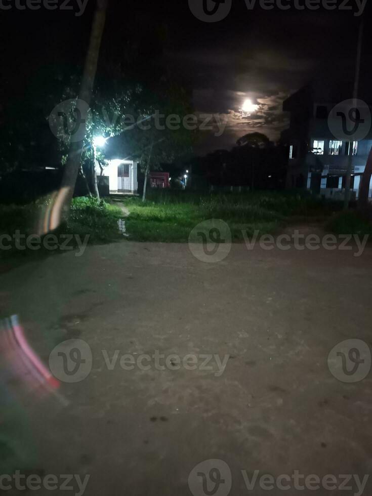 abete alberi su prato fra pendii con conifera foresta nel nebbia sotto il blu cielo a notte. spaventoso campagna scenario nel pieno Luna leggero foto