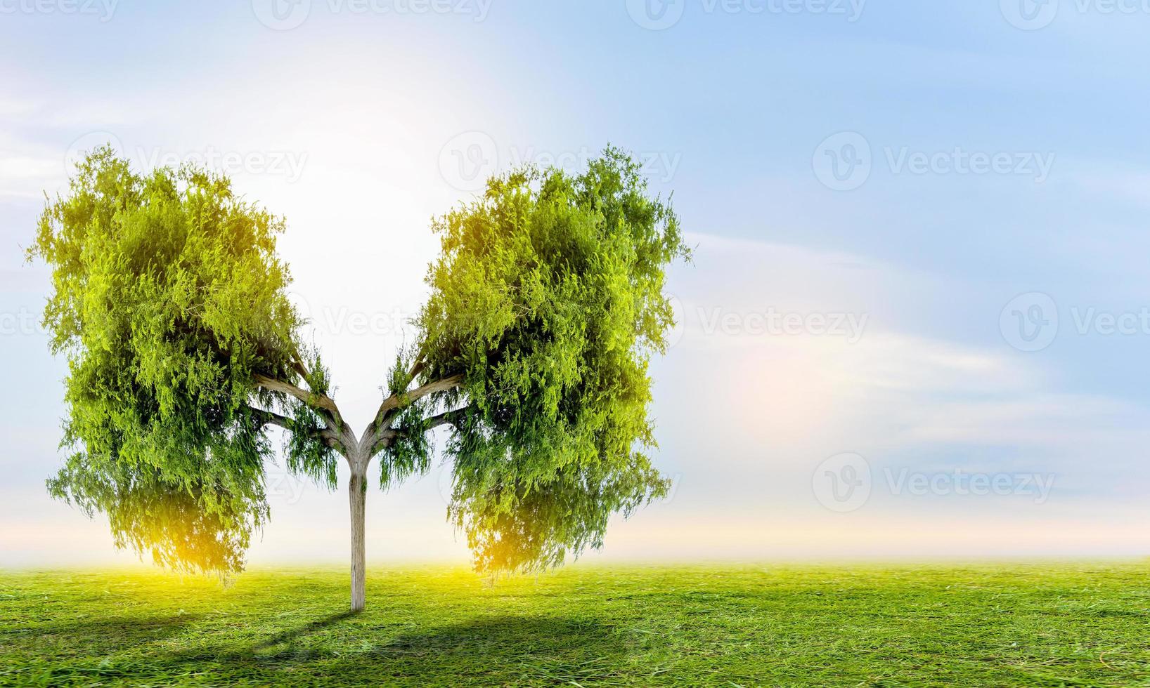 illustrazione dell'ambiente e della medicina dell'albero polmonare foto