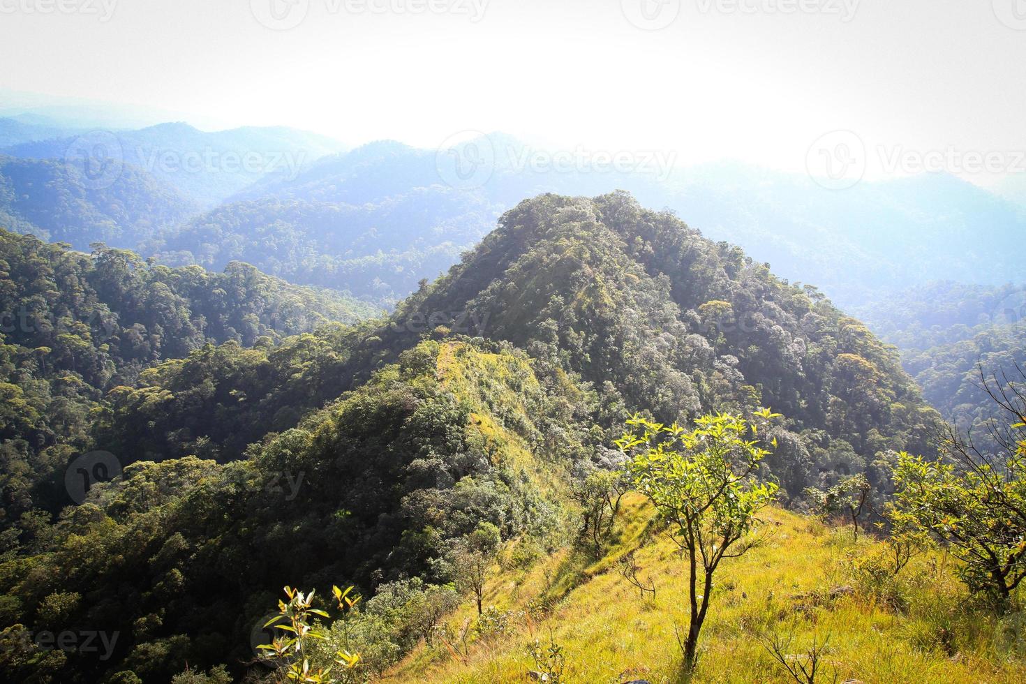 collina doi montha in thailandia foto